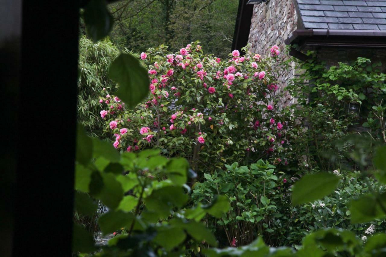 Ty Carreg Fach Staycation Cottage Cardiff Exteriör bild